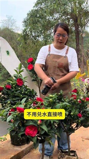 The Mysterious Language of Camellias: Only Experts Can Decode