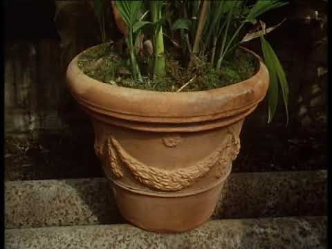 The Victorian Flower Garden Episode 1