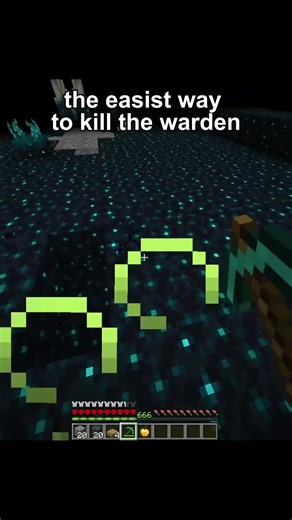 Kill the warden in 18 seconds