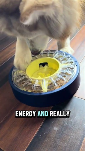 This spinning slow feeder from is a great dog enrichment toy that keeps dogs busy, provides mental