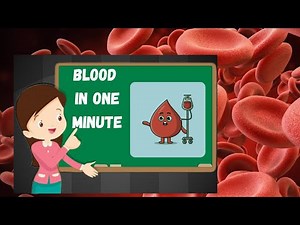 Blood and blood cells ||anatomy and physiology|| full notes