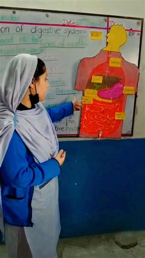 🎥✨ Class 7th-C Presentation Highlight! ✨🎥 Today, Manal Javed and Bisma, bright and confident students of Grade VII, delivered a presentation on the topic “Functions of the Digestive System.” 🧠📘 What makes this moment even more inspiring is that this was a rough video — no special preparation, no rehearsed stage setup — yet Manal spoke with clarity, confidence, and real understanding of the topic. 🌟👏 This is exactly what classroom presentations are meant for: 👉 Building confidence 👉 Impro