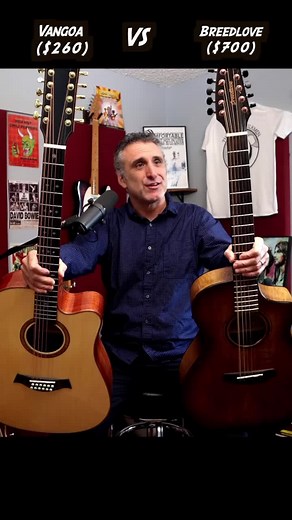 Breedlove vs Vangoa: Guitar Sound Comparison