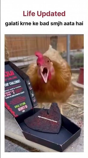 galti krne ke bad smj aata hai #memes