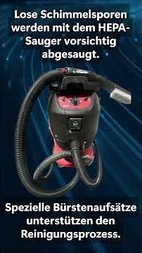 So retten wir verschimmelte Akten | Professionelle Aktenreinigung bei FILOCLEAN