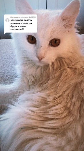 Рекомендовані акаунти