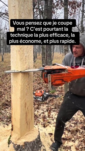 Technique de coupe efficace pour bûcherons