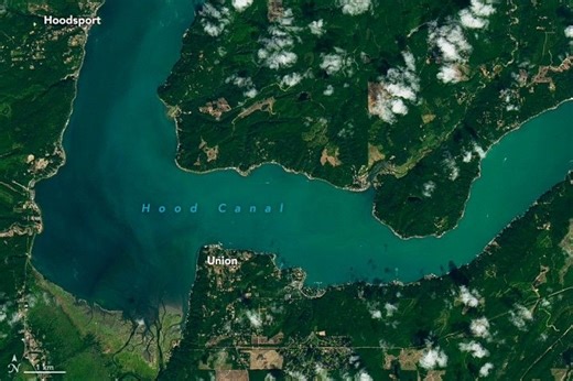 Summer Color for Hood Canal - NASA Science