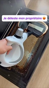 -60% sur le nettoyeur qui désinfecte votre nouvel appartement On emménage ce week-end. L'appartement me dégoûte. Mes trois enfants vont jouer dans la crasse de l'ancien propriétaire. Matelas pleins de bactéries. Joints moisis. Canapé plein de sueur d'inconnu. Impossible de me sentir chez moi. Steameo a tout désinfecté en 1 heure. Matelas, canapé, joints, four : 99,9% des bactéries éliminées. Sans produit chimique. Juste de la vapeur. Maintenant c'est vraiment NOTRE appartement. Mes enfants peuve