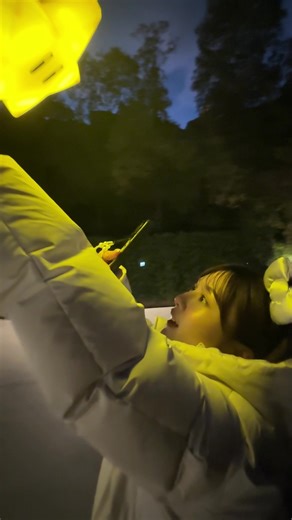 ユニバーサルスタジオのスター光る体験