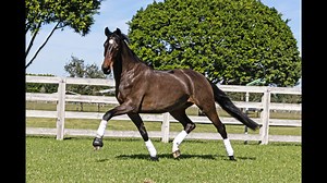 4.9K views · 66 reactions |  BEAUTY! #maresofisf Vanilla Girl W,...