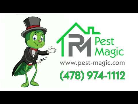 Pest Magic Pest Control Services in Middle Georgia