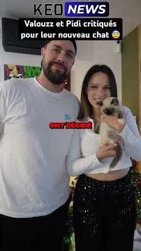 VALOUZZ ET PIDI REPONDS AU CRITIQUE SUR LEUR CHAT 😨(les pauvres…) #shorts #drama #valouzz #tiktok
