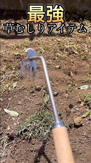 【雑草対策】最強草むしりアイテム 簡単 便利 草抜き 道具