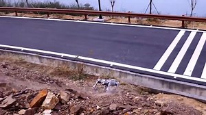 9.1K views · 15 reactions | Robotique : Une entreprise chinoise...