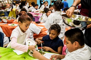 Days of Taste - TasteWise Kids