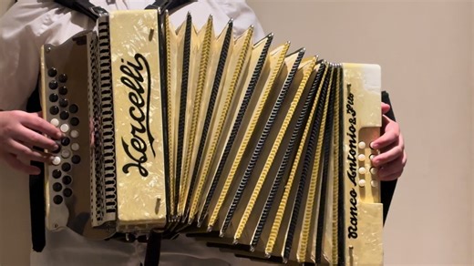 Discover the Art of Concertinas in Portugal