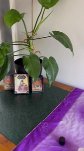 Personalised ORACLE Cards Guidance, PSYCHIC Divination Reading - Etsy Australia