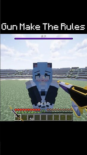 Guns Make The Rules⑩ #minecraft#memes