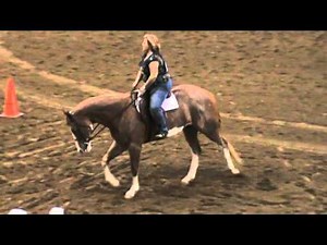 Class 4 Hunt Seat Equitation