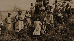 Priscilla, a Slave | The African Americans: Many Rivers to Cross
