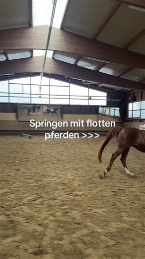 #diestallnudeln #horseriding #girlssupportgirls💞 #cavalettitraining #stangenarbeit🐴 #springen#galloppstangen #cavalettiarbeit#flottepferde #bighorses#pferd #fyppppppppppppppppppppppp #fyyyyyyyyyyyyyyyyyyyy #fyp #beststabledou