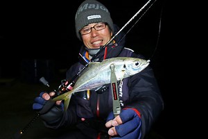 アジング基本のキホンは1.5gジグヘッド ワーム2種でOK！【初心者も手軽に楽しみたい】