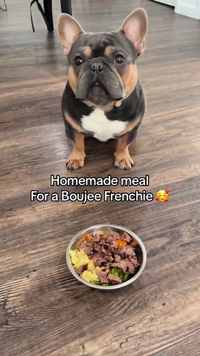 Homemade French Bulldog Food Recipes for a Boujee Frenchie