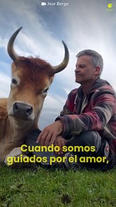 17M views · 732K reactions | Necesitamos más amor en el mundo. ❤️ | Kinder World - Español | Facebook