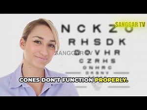 How Do Our Eyes See Colour – The Science of Vision and Light