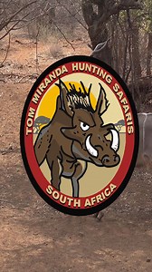 Kudu with a Bow! #tommirandasafaris #africa #bowhuntingafrica #bowhuntingsafari #tommirandaofficial | Tom Miranda Hunting Safaris