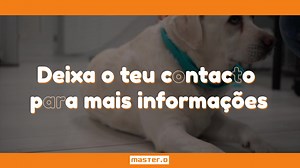Não penses duas vezes, qualifica-te na área que gostas! 🐴🐱🐶🐰 Acede à página dos nossos cursos para mais informações sem compromisso. | Master D Portugal
