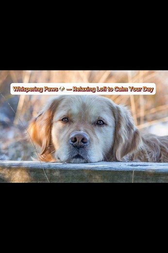 Soft lo-fi + peaceful dog energy.Perfect little vibe reset. 🐾✨