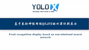 目标检测：YOLOX实例