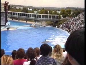Sea World 1991