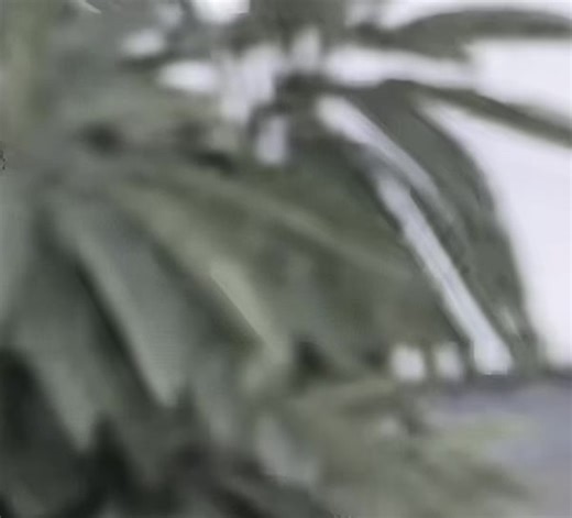 Creative Search Engine Optimization Tips