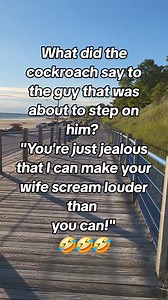 Cockroach #jokes #hillbillybonz | hillbillybonz1