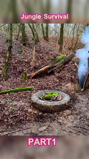 Building a Secret Survival Bunker in the Woods