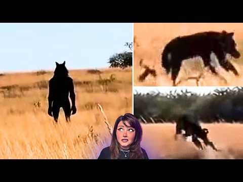 Most DISTURBING Nightmare Fueled CRYPITDS Caught On Camera 2026