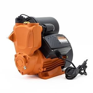 [Hot Item] Domestic Electric Home Booster Automatic Casting Iron Pressure Water Pump with Dry Running Protection