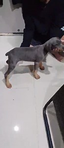 Moodz G Cuyugan on Reels