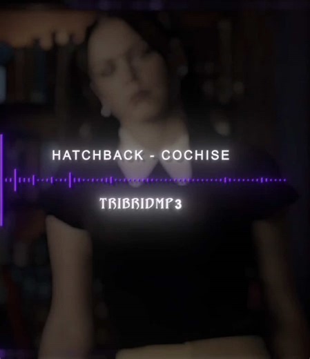 Dynamic Hatchback Audio Edit - Cochise