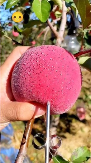 2 China's Rarest Fruits You Won't Believe Actually Exist! 🍎🤔 #shorts