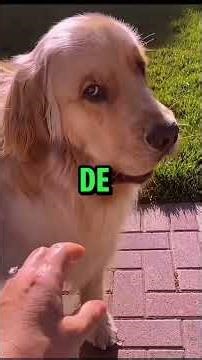 A LEI FELCA ACABOU COM OS JOGOS NO BRASIL #animeedit #games #leifelca #anime