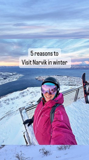 32K views · 244 reactions | Narvik: 5 great reasons to visit in winter ❄️ ⛷️skiing with a fjord view northern lights safari 力Polar park wildlife center ️Narvik War museum 朗the views, the skyline and the Arctic nature | Visit Norway | Facebook