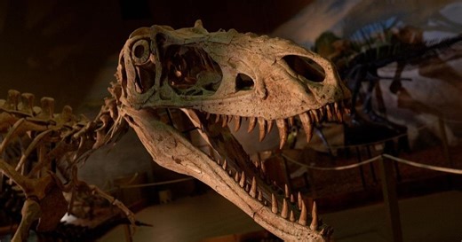 Wyoming Chronicle:Dinosaur Center at 30 Season 17 Episode 7