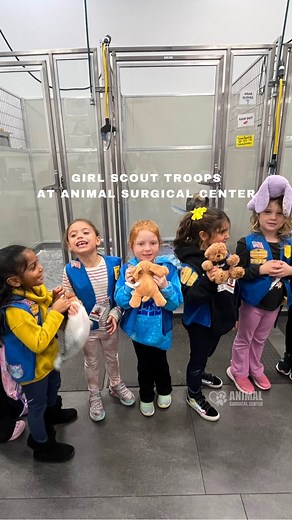 18 reactions | We welcomed Girl Scout Troop 2022 to Animal Surgical...