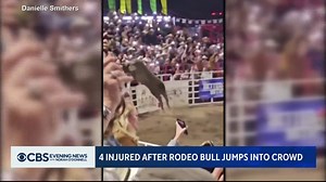 30K views · 269 reactions | Multiple people were injured when a rampaging bull broke loose at an Oregon rodeo, vaulting a six-foot fence and bolting through a concession area. | CBS Evening News | Facebook