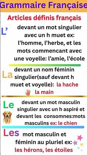 Résume des Articles Définis Français LE, LA, LES, L'/ Learn French