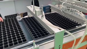 [Hot Item] Automatic Vegetable Seeder Seed Sowing Machine Line for Seedling Tray